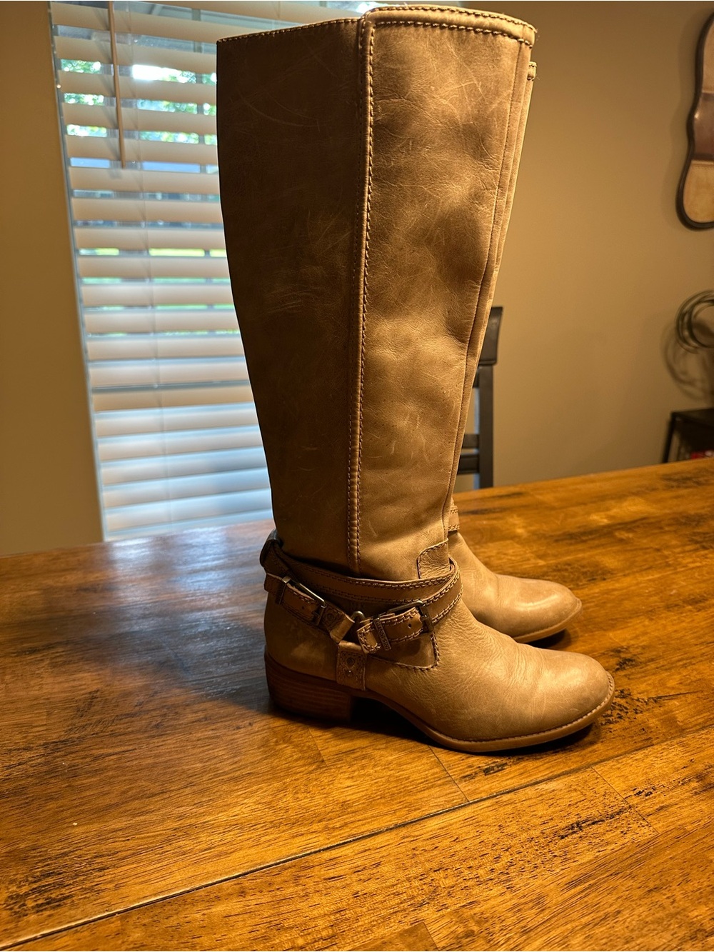 Tall Taupe Gianni Bini Leather Riding Boots - Picture 6 of 12